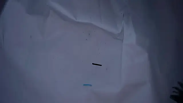 lx667788 online show from 01.16.26