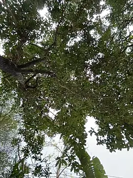 IceMur online show from 02.23.26