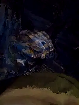 Tamilcbebbc online show from 04.08.26