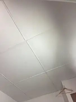 vanilla Kush online show from 03.11.26