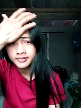 Hoa-tuylip online show from 02.11.26