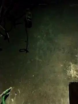 Hoa-tuylip online show from 02.13.26