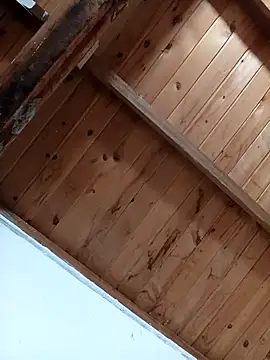 Snapshot of luna_pinky chatting on 03.01.26 luna pinky online show from 03.01.26