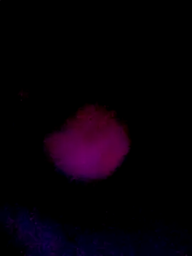 061190 online show from 03.22.26