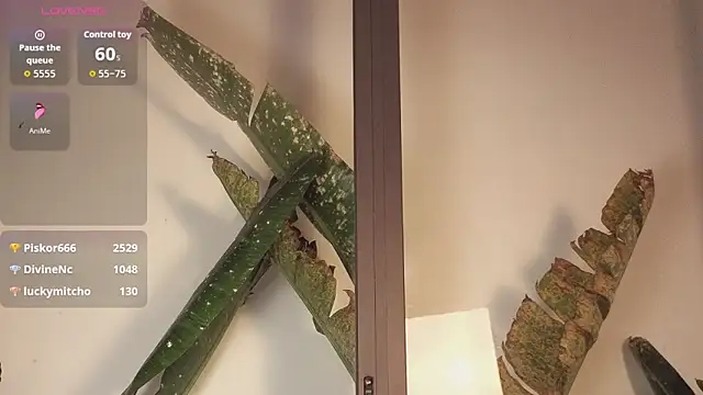 came-a-lot online show from 02.22.26