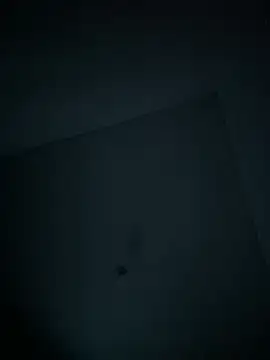 dominick fran online show from 02.11.26