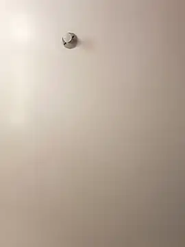 Cati cat3 online show from 02.07.26