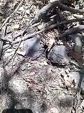 Cute Boy 4 online show from 04.15.26