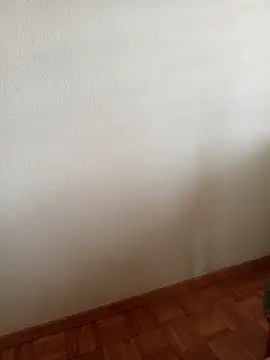 baipal74 online show from 02.19.26