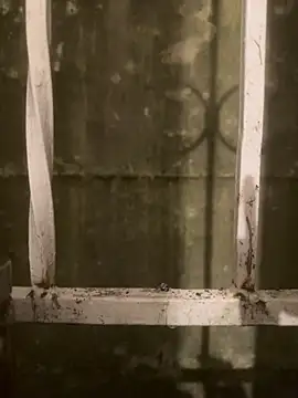 Diggaoder online show from 04.21.26