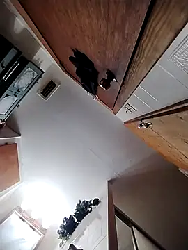 chad23162 online show from 02.13.26