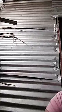 scarth 26 online show from 02.20.26