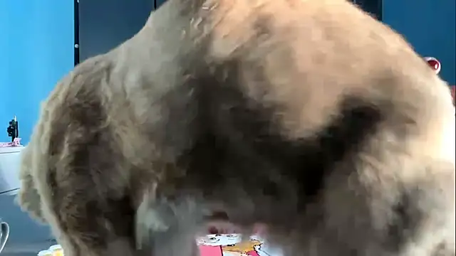 AndreeMerryman online show from 02.05.26