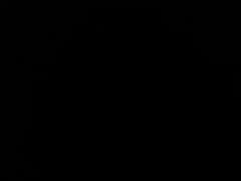 paula ross  online show from 02.14.26