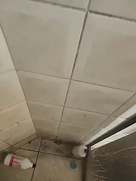 Gordinho dos pes online show from 03.29.26