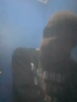 S7LEALTADPERVLIMA7 online show from 07.14.26