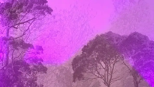 Elizabeth Ferrer online show from 03.16.26