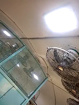 Talkwithsex online show from 02.04.26