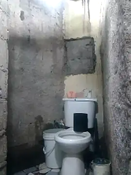 polla large active online show from 04.12.26