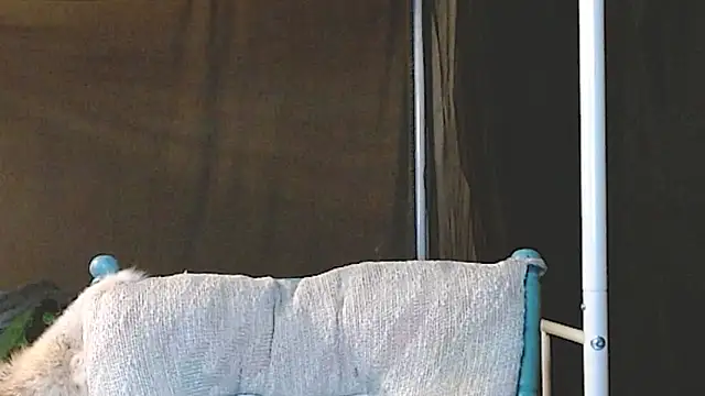 cguffey2284 online show from 03.20.26