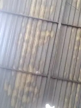 Linka998 online show from 03.27.26