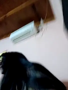 Snapshot of Soy_lubri69sexy chatting on 02.21.26 Soy lubri69sexy online show from 02.21.26