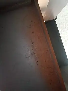 Snapshot of Ironid chatting on 02.18.26 Ironid online show from 02.18.26