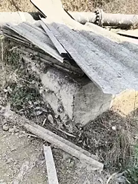 Janu-20 online show from 03.14.26