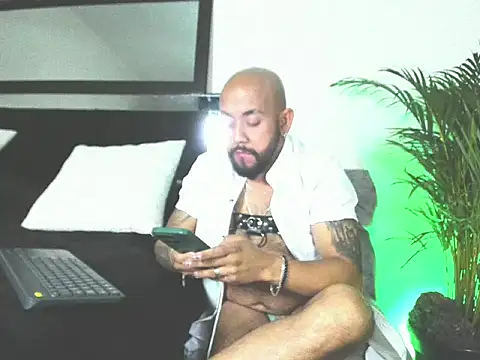 King bear 25 online show from 02.26.26