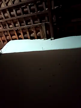 Snapshot of mykasantos20 chatting on 02.14.26 mykasantos20 online show from 02.14.26