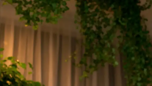 Snapshot of TheMaddisonShow_ chatting on 03.04.26 TheMaddisonShow online show from 03.04.26