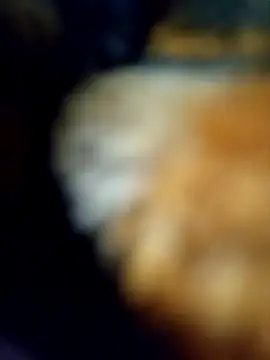 Snapshot of Avinh_09 chatting on 02.15.26 Avinh 09 online show from 02.15.26