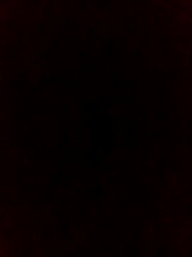 falcon2589 online show from 02.25.26