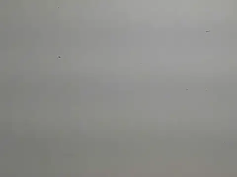 risu 00 online show from 03.06.26