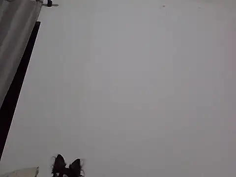 machodotado97 online show from 03.02.26