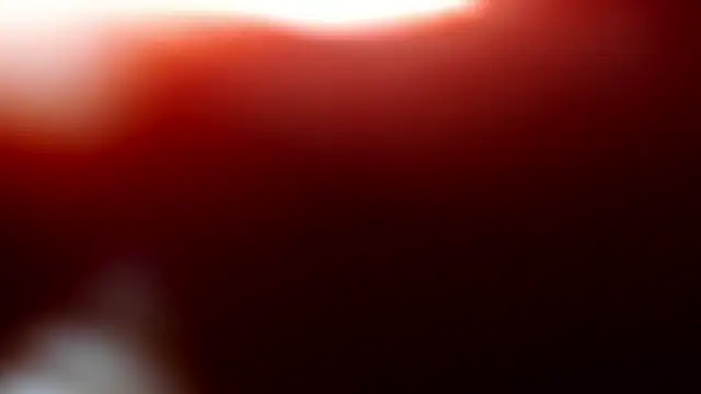 little  eva online show from 05.28.26