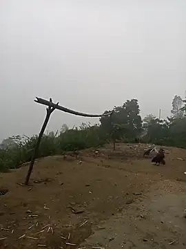 Nth5h online show from 03.30.26