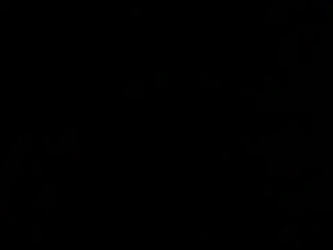 santiago and camila online show from 03.12.26