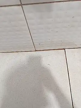 negopreto  online show from 02.26.26