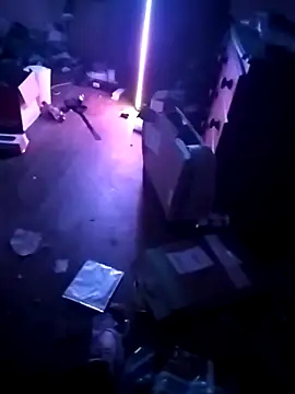 cexcitef online show from 03.03.26