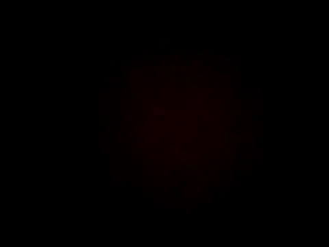 wifedesi7050 online show from 04.07.26