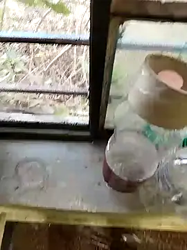 blackbeauty321 online show from 02.26.26