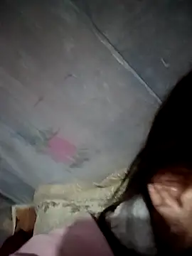 pic8800 online show from 03.08.26