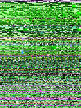 D SnowL online show from 07.10.26