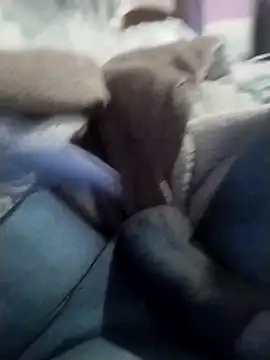 casal spzl online show from 03.10.26