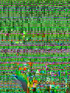 micosilpro online show from 03.08.26