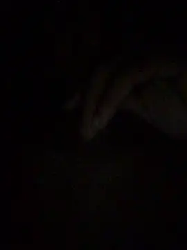 gostinhopauzudo online show from 03.22.26