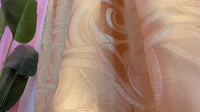 evelyn  rose1 online show from 03.08.26