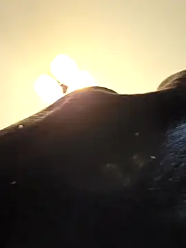 KinkyKittyBoy online show from 04.19.26