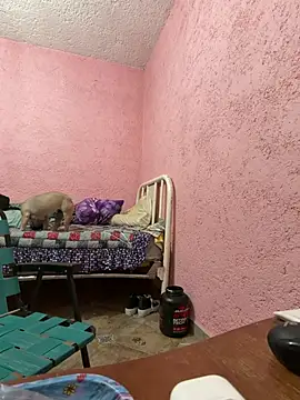 deivchoky online show from 04.14.26